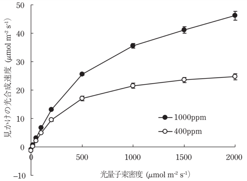 光合成速度-CO2濃度-PPFD